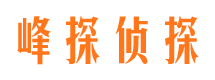 西峡捉小三公司